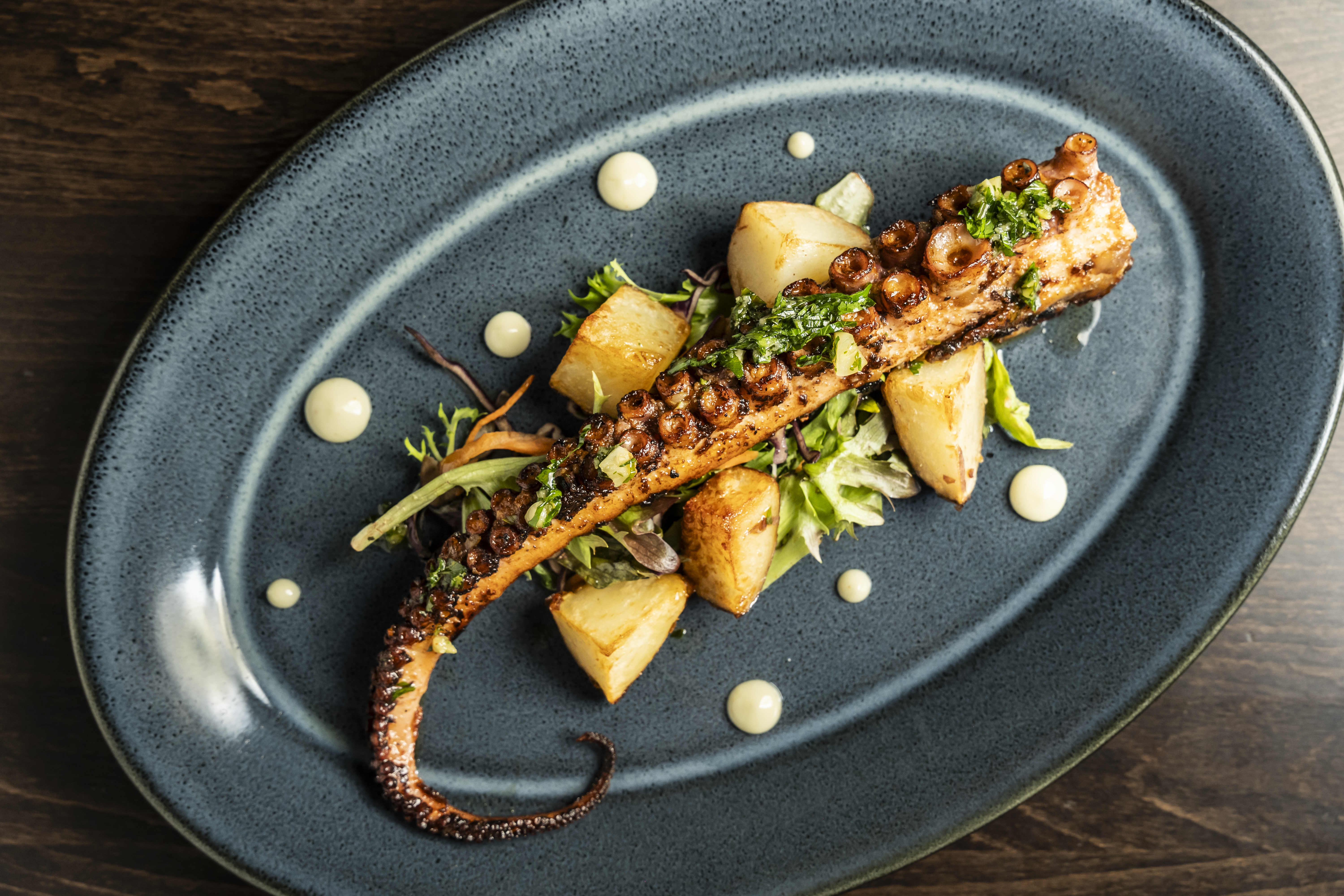 Pulpo A La Parrilla at Buena Vista, NYC